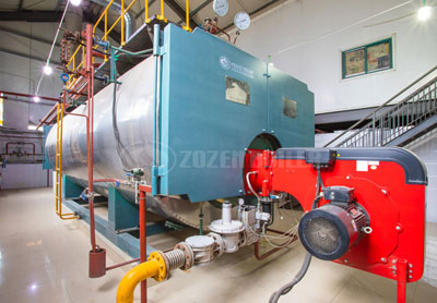 15 tons WNS Series Condensing Gas Boiler For food industry Project