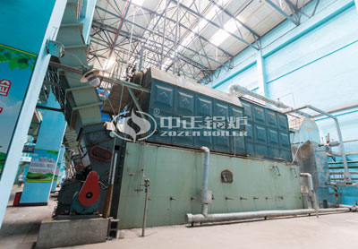 15tph coal fired steam boiler for medical universities