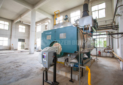 4 tons WNS condensing gas steam boiler project for food industry