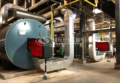 6MW gas-fired thermal fluid heater for food industry