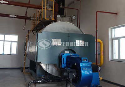 8 tons WNS condensing gas steam boiler project for food industry
