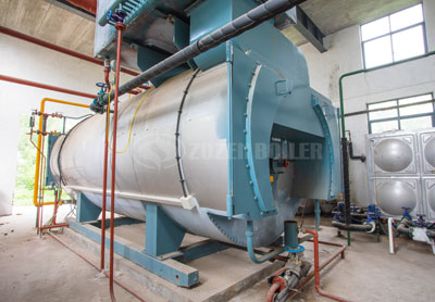 10 tph WNS gas-fired boiler for pharmaceutical factory