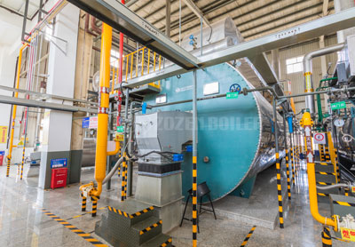 21MW YQL gas-fired thermal fluid heater for chemical industry