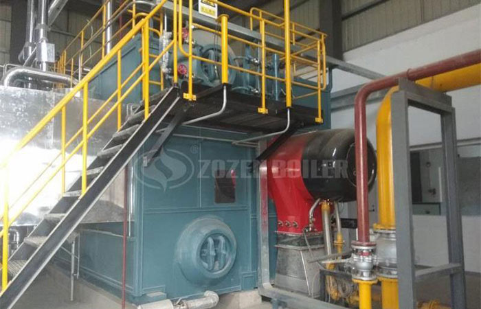 SZS series gas fired hot water boiler for north heating market