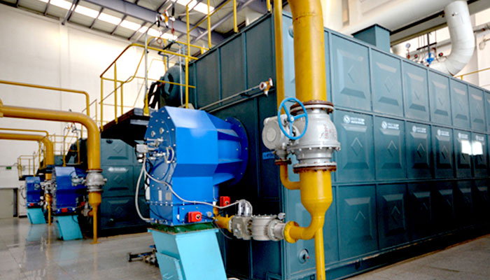 What is the price of 20-ton gas fired boiler?