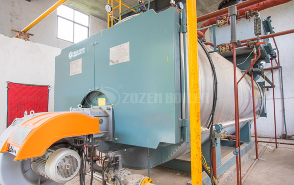 10 tph WNS gas-fired boiler for pharmaceutical factory