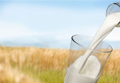 Annual output of 350 thousand tons of liquid dairy products